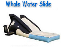 Whale Water Slide
